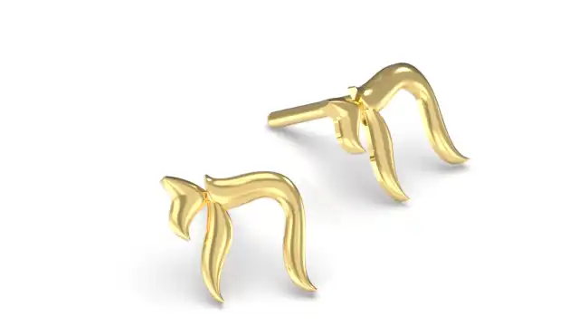 עגילי חי חלקים זהב 14K