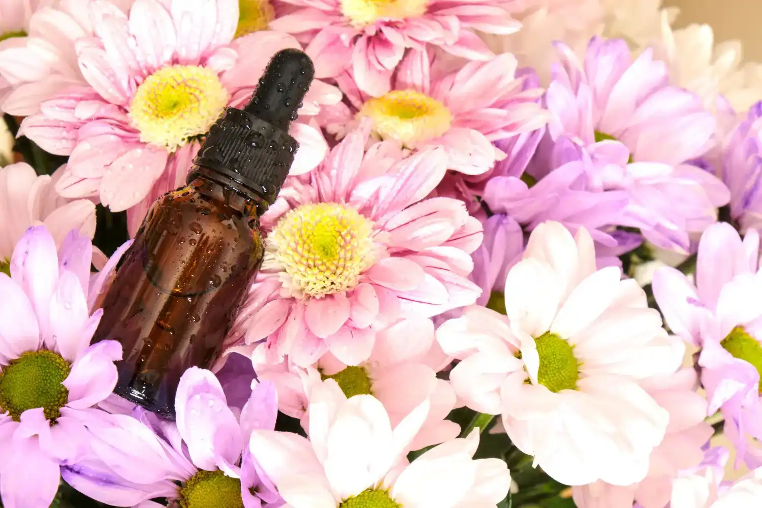 תמצית פרחי באך מוכנה לפי נושא | אורין גנץ