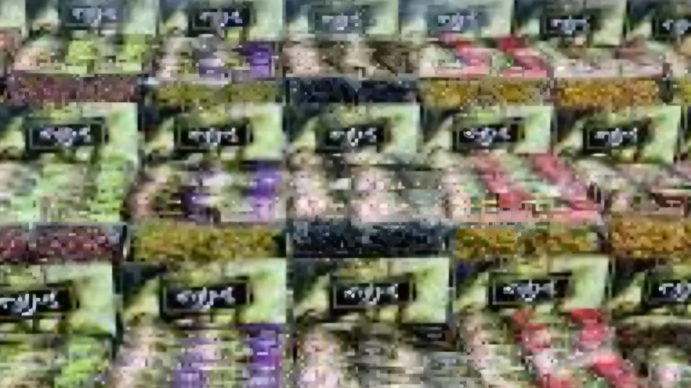 מארז זיתים קלמטה