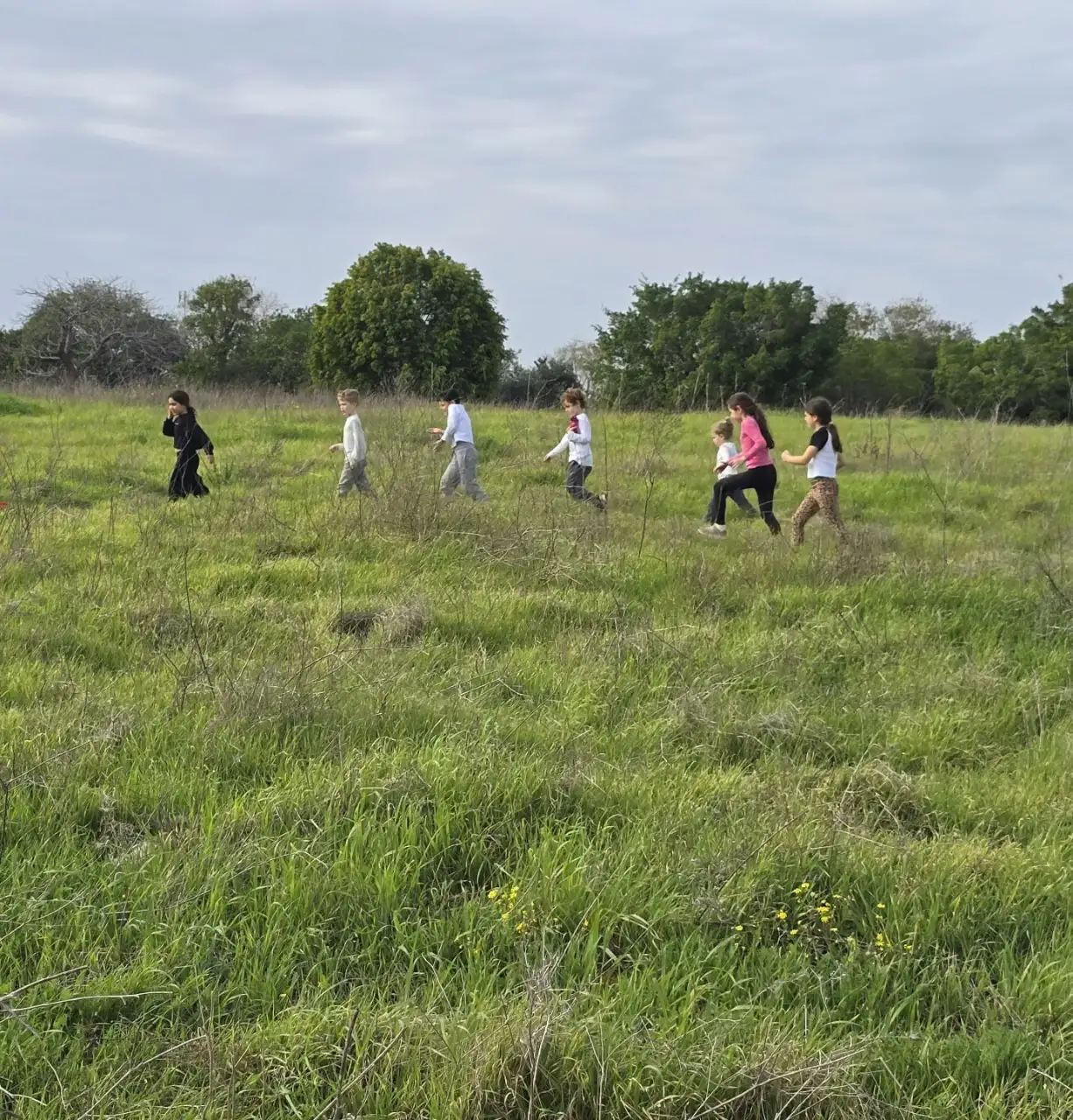 סדנאות טבע לילדים