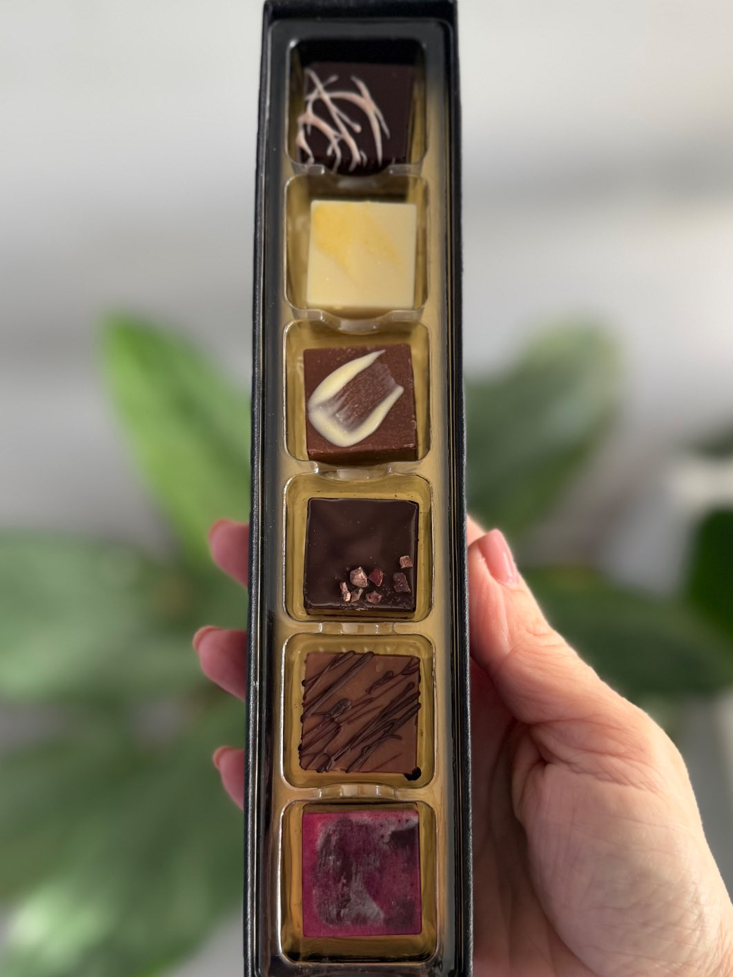 מארז 6 פרלינים בטעמים מגוונים