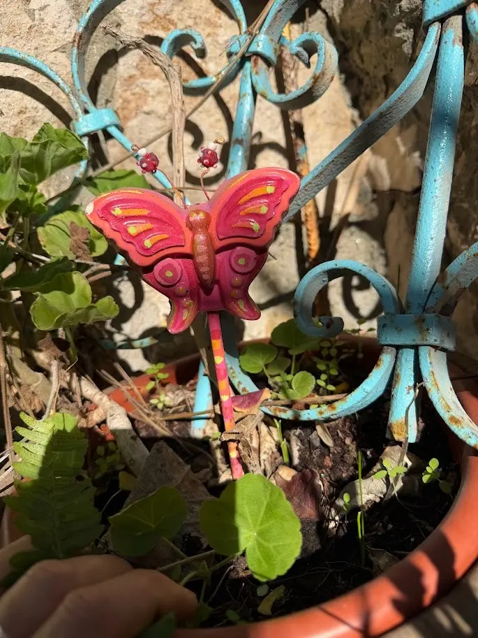 רינה בגינה - קישוטי גינה ייחודיים מבטון