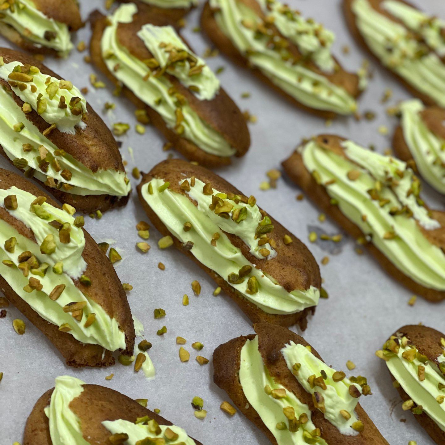 פחזניות פיסטוק