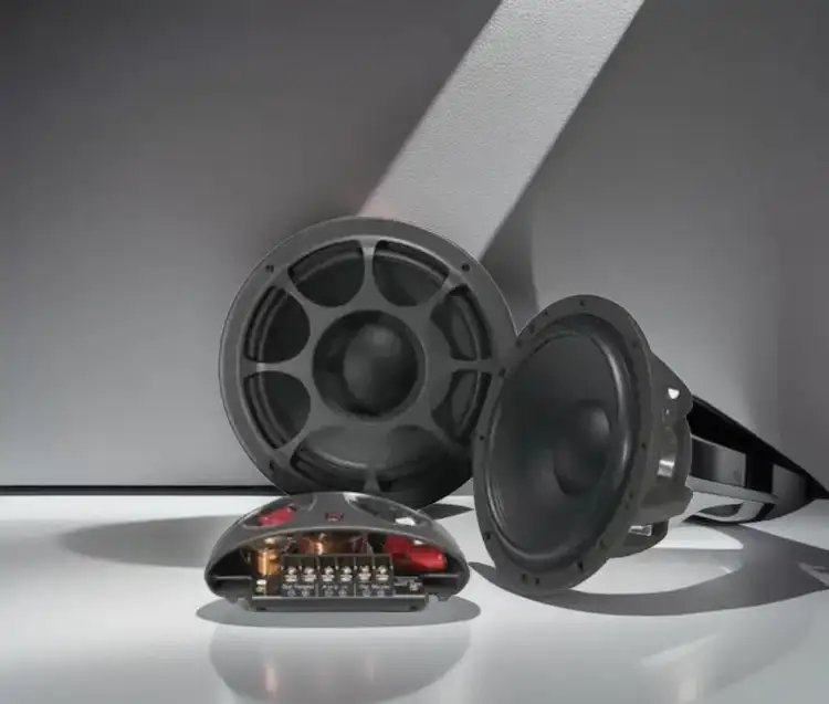 Morel - הייבריד