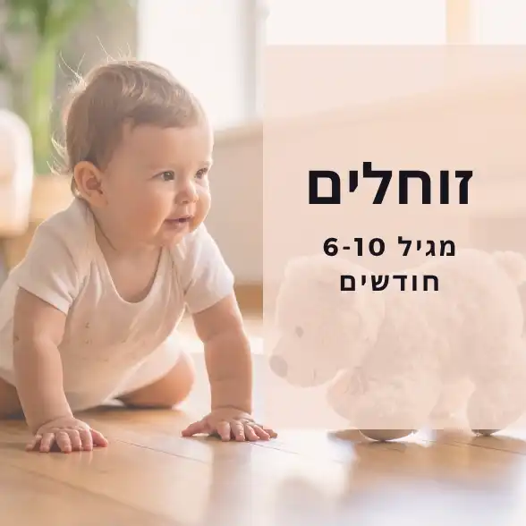 סדנת זוחלים