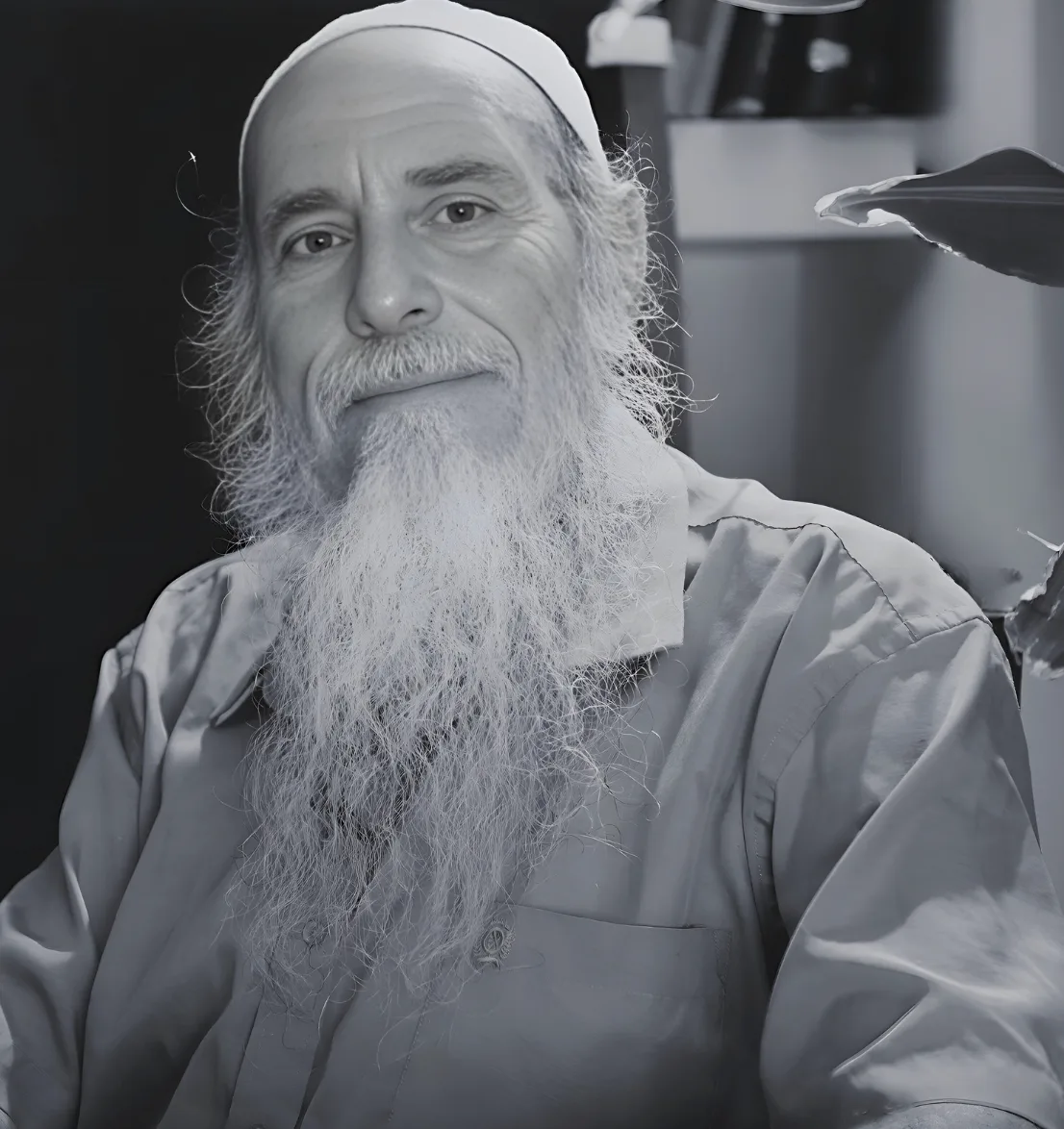 צ’יקונג עם ד”ר שלמה שיש | בית הספר לצ’י קונג לגיל השלישי