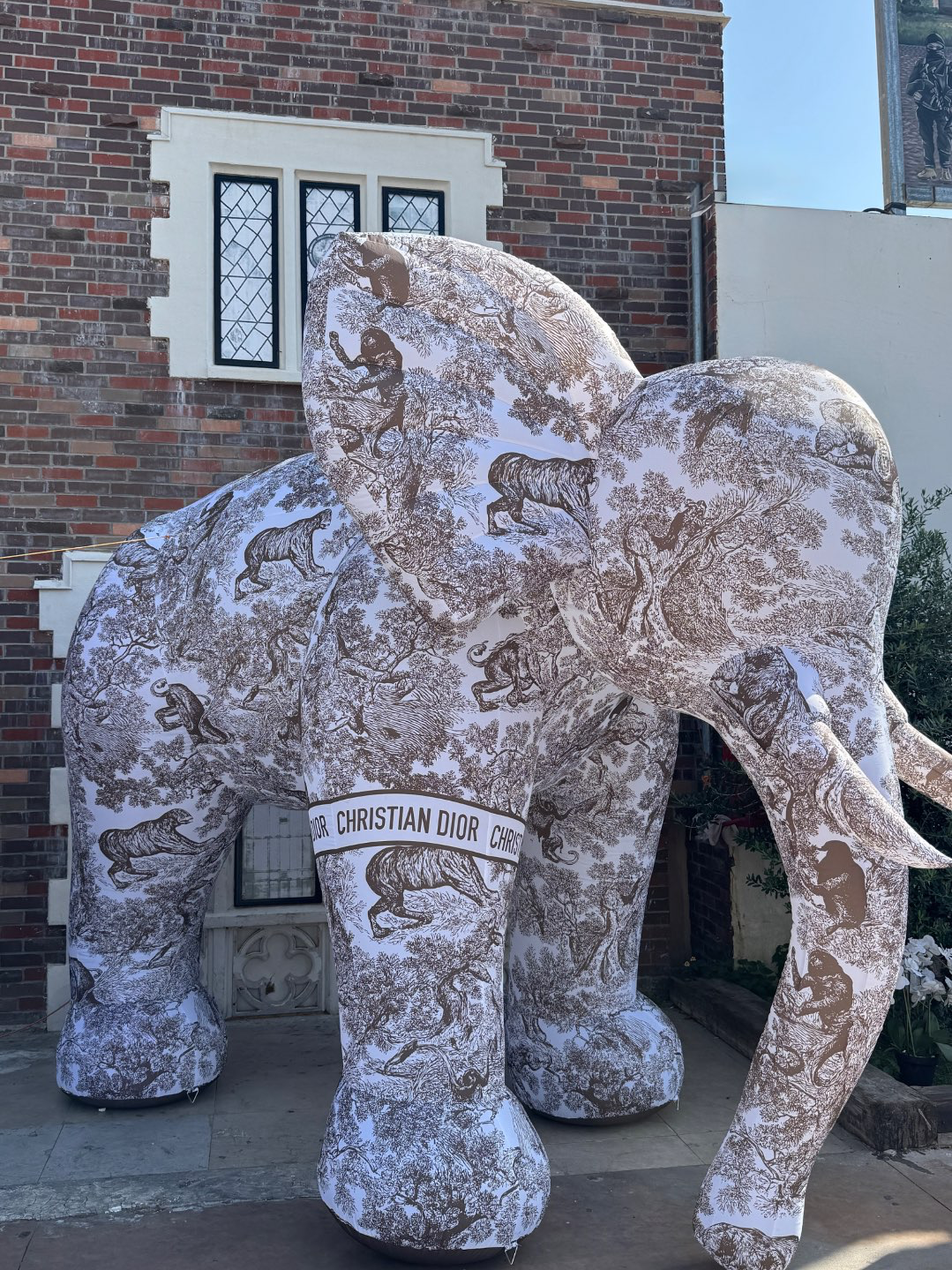 פיל דיור חום