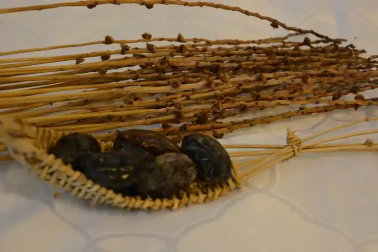 סלסלונת מסנסנים