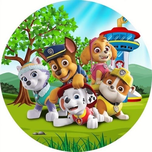 דף אכיל עגול יחידת החילוץ