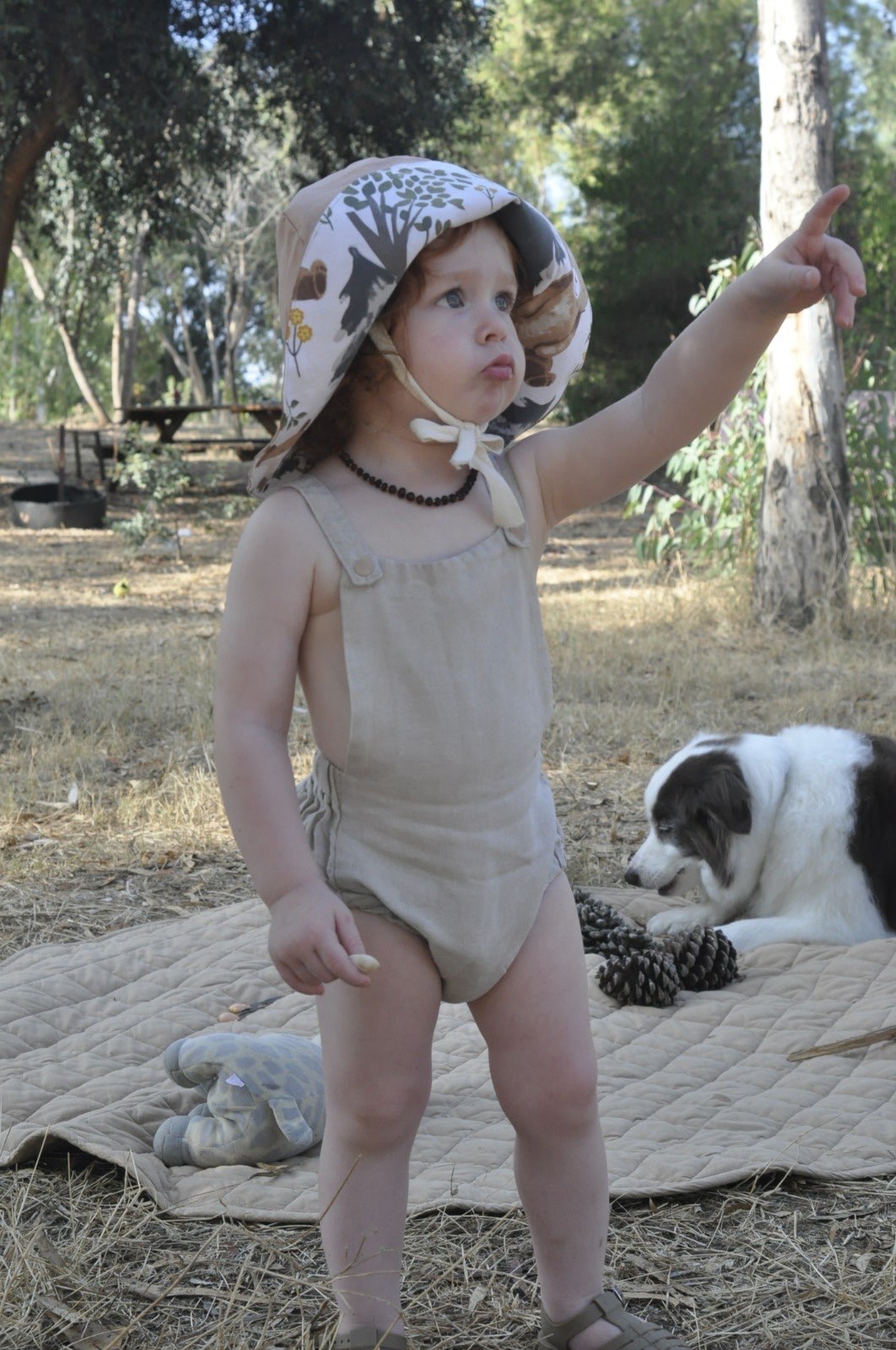 רומפר פשתן - בז׳