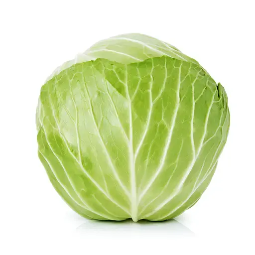 כרוב לבן - 1 יחידה