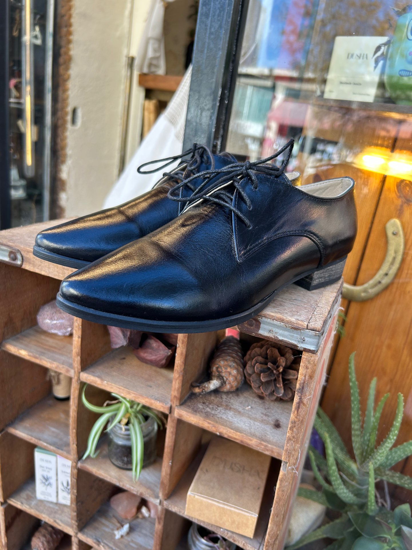 נעלי אוקספורד