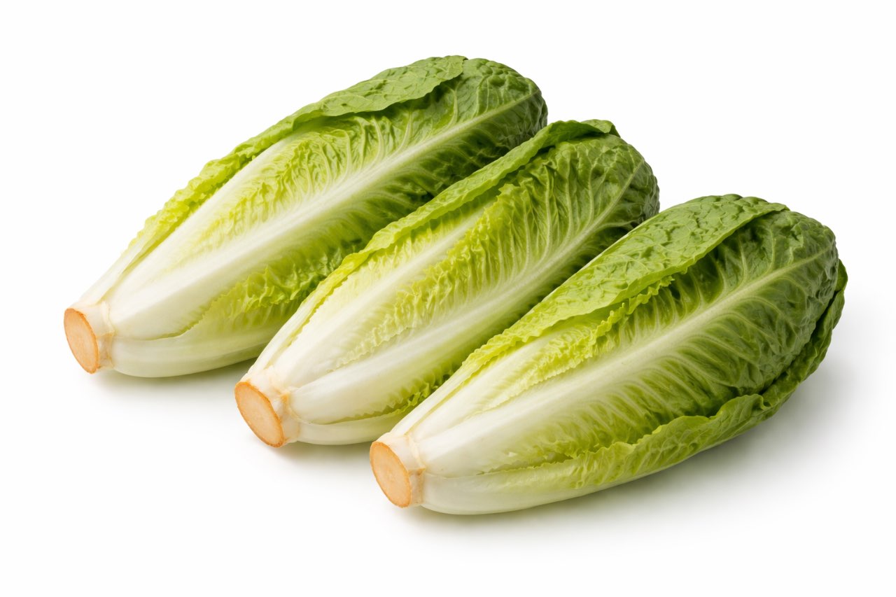 חסה לבבות קיסר-1 מארז