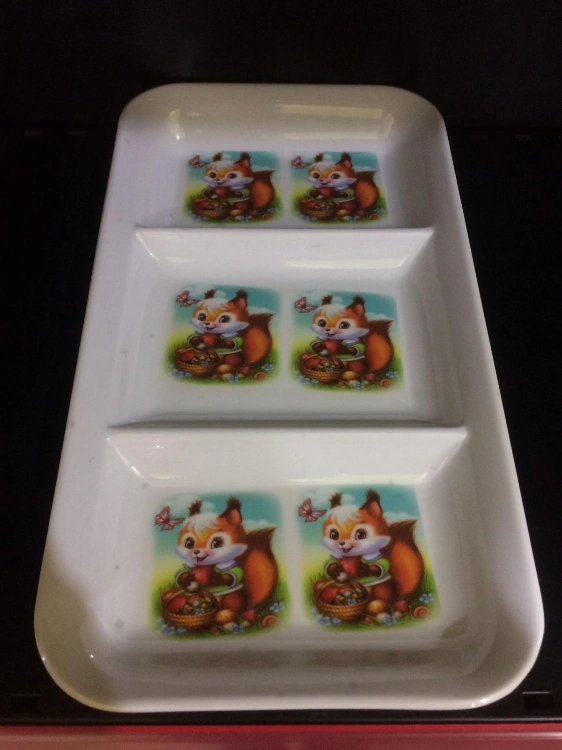 מגש מלמין  מחולק