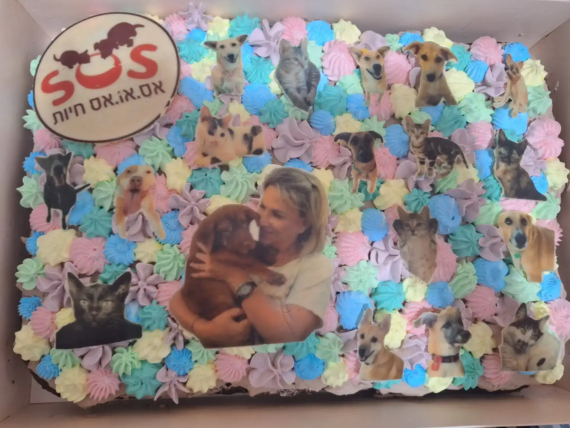 עוגת גן מעוצבת