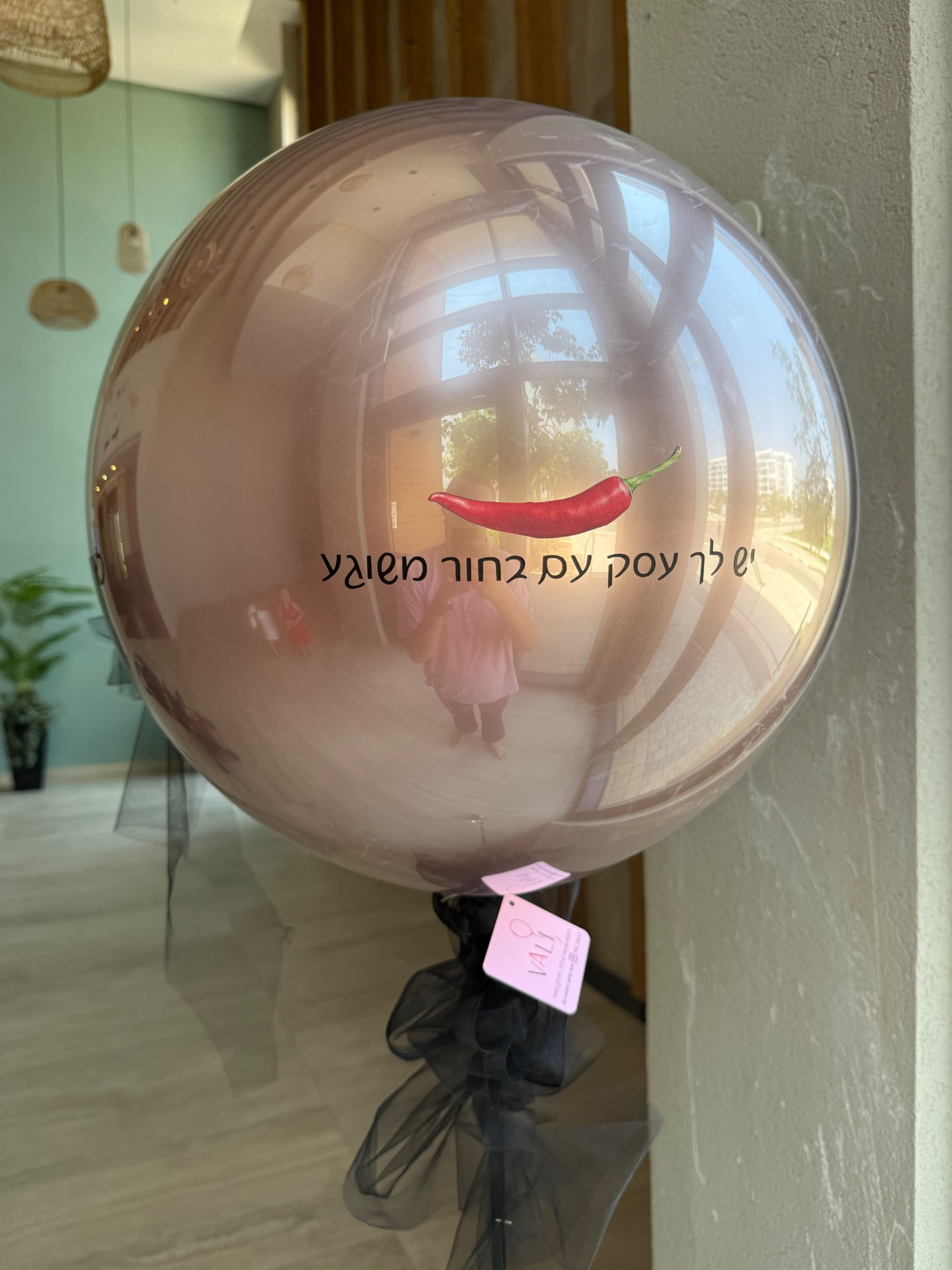 בלון זכוכית L עם טול בחוט בעיצוב יוקרתי ורומנטי | VALI