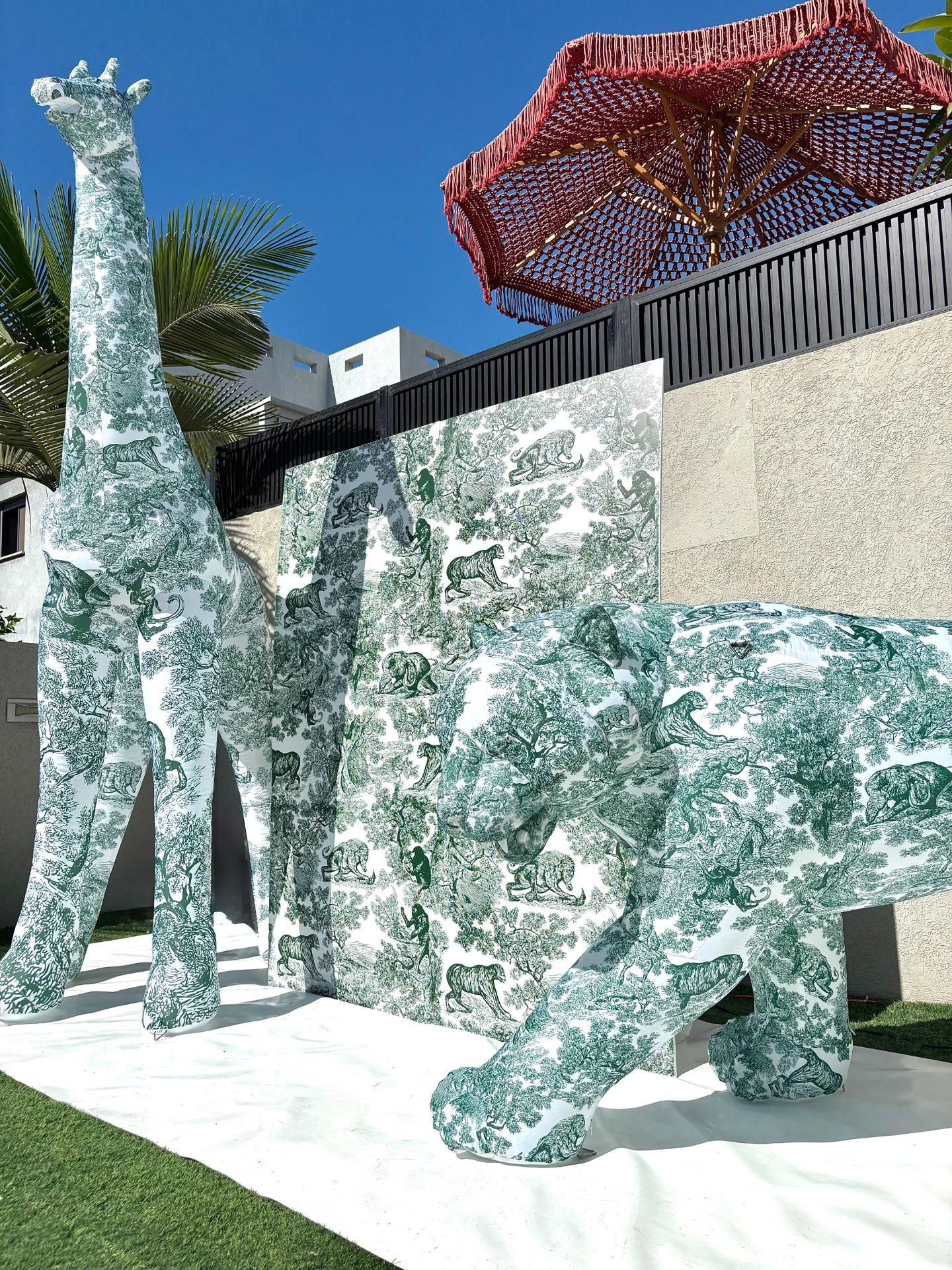 קיר צילום דיור נאמוס