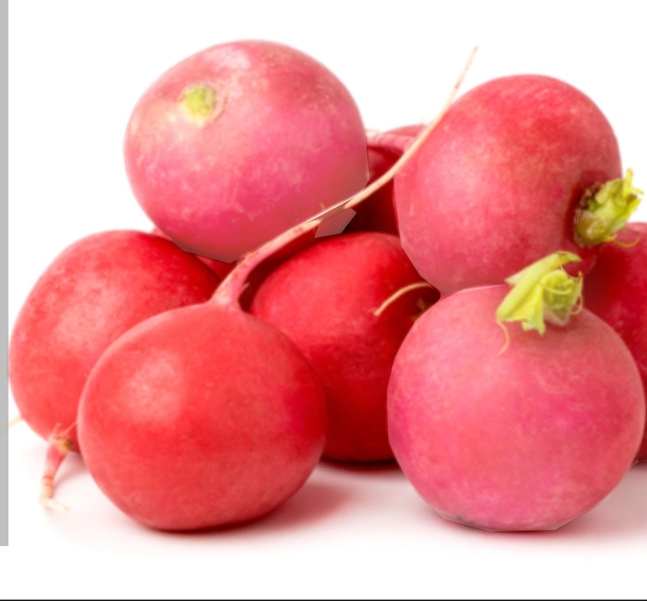 מארז צנוניות