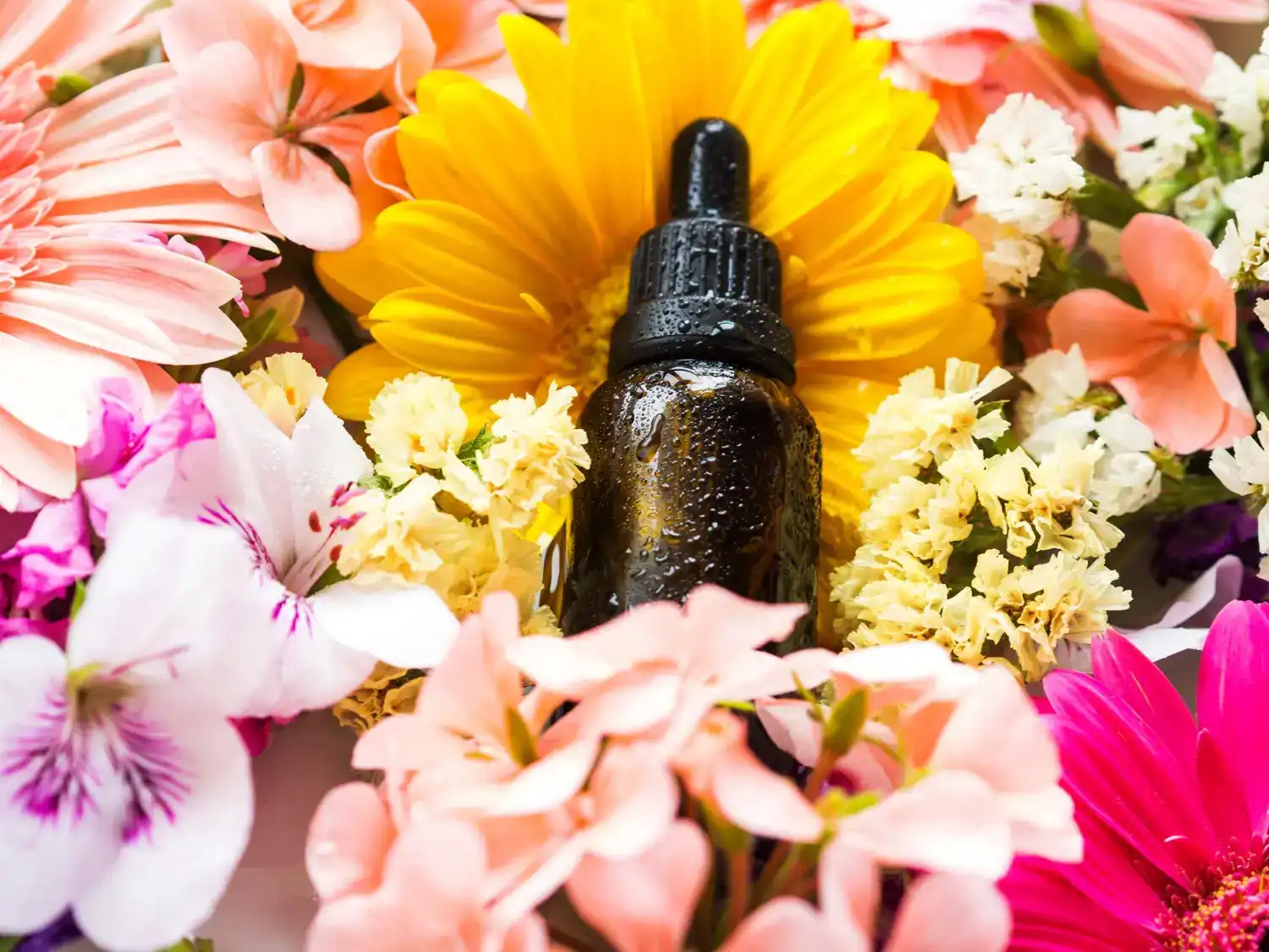 תמצית באך בהתאמה אישית – שיחה ואבחון | אורין גנץ