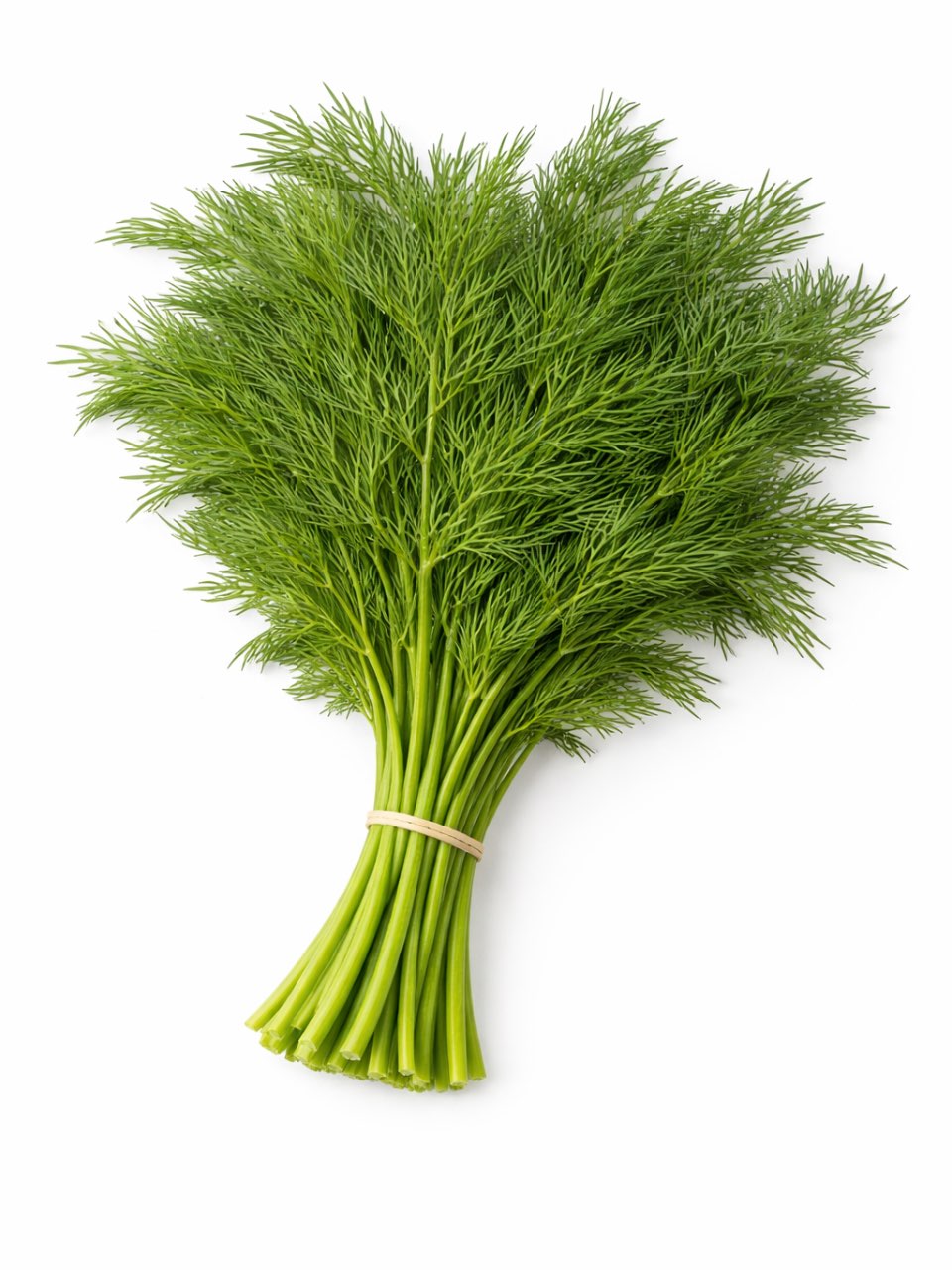 שמיר ארוז-מארז