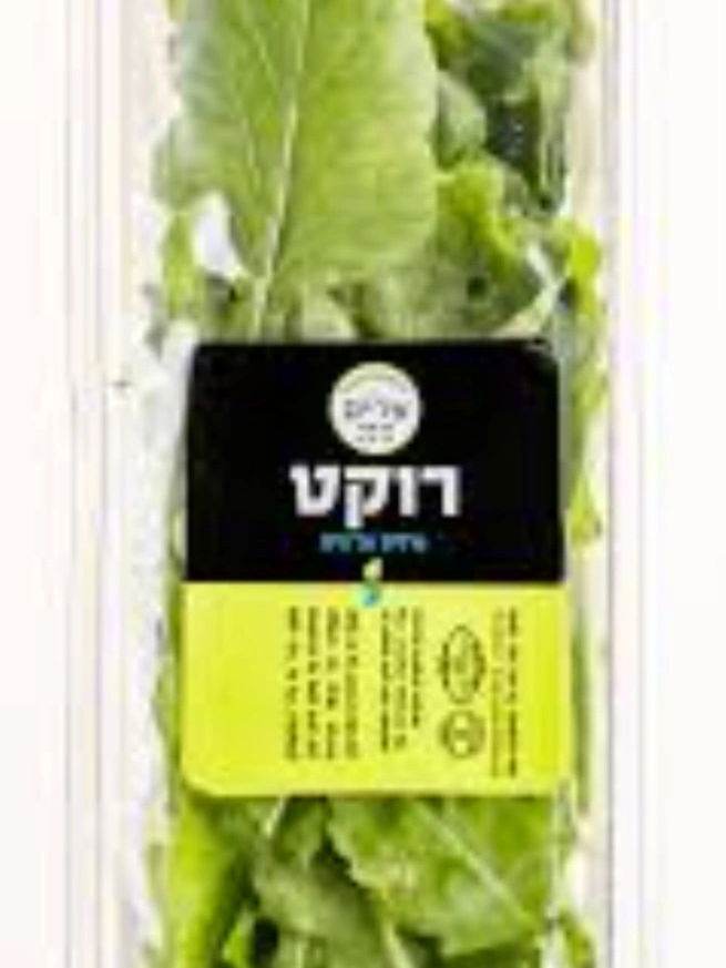 רוקט (רוקלה)