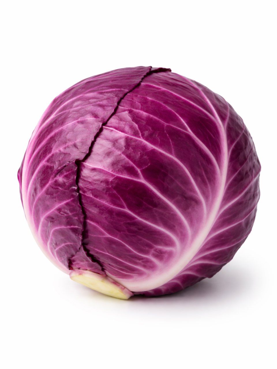 כרוב אדום ישראלי - 1 יחידה