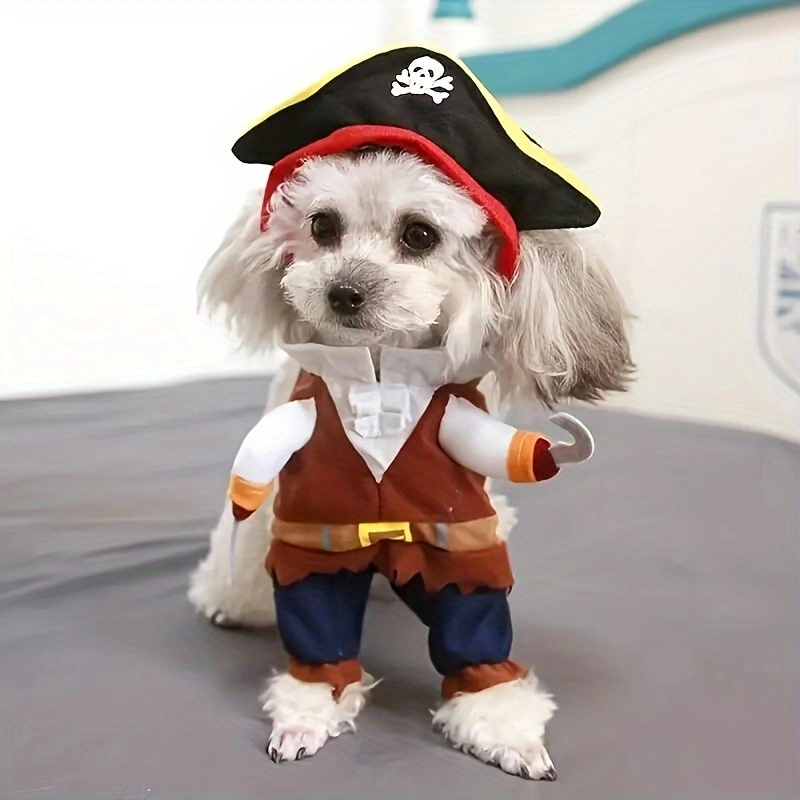 תחפושת פיראט