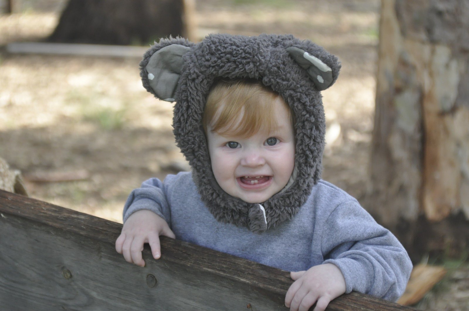 כובע חורף - דובי