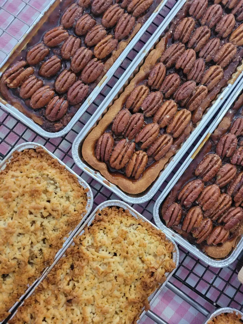 קייטנות לילדים