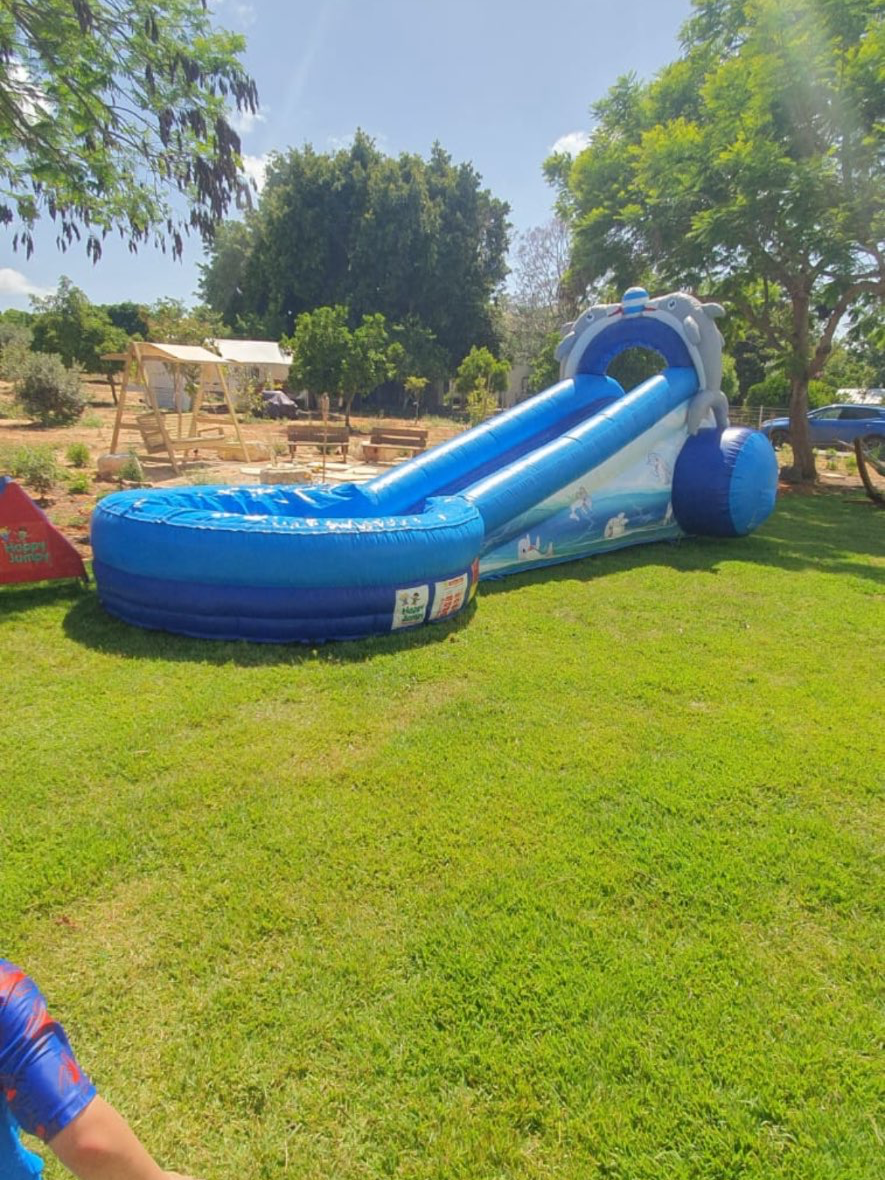 מתנפח דולפין