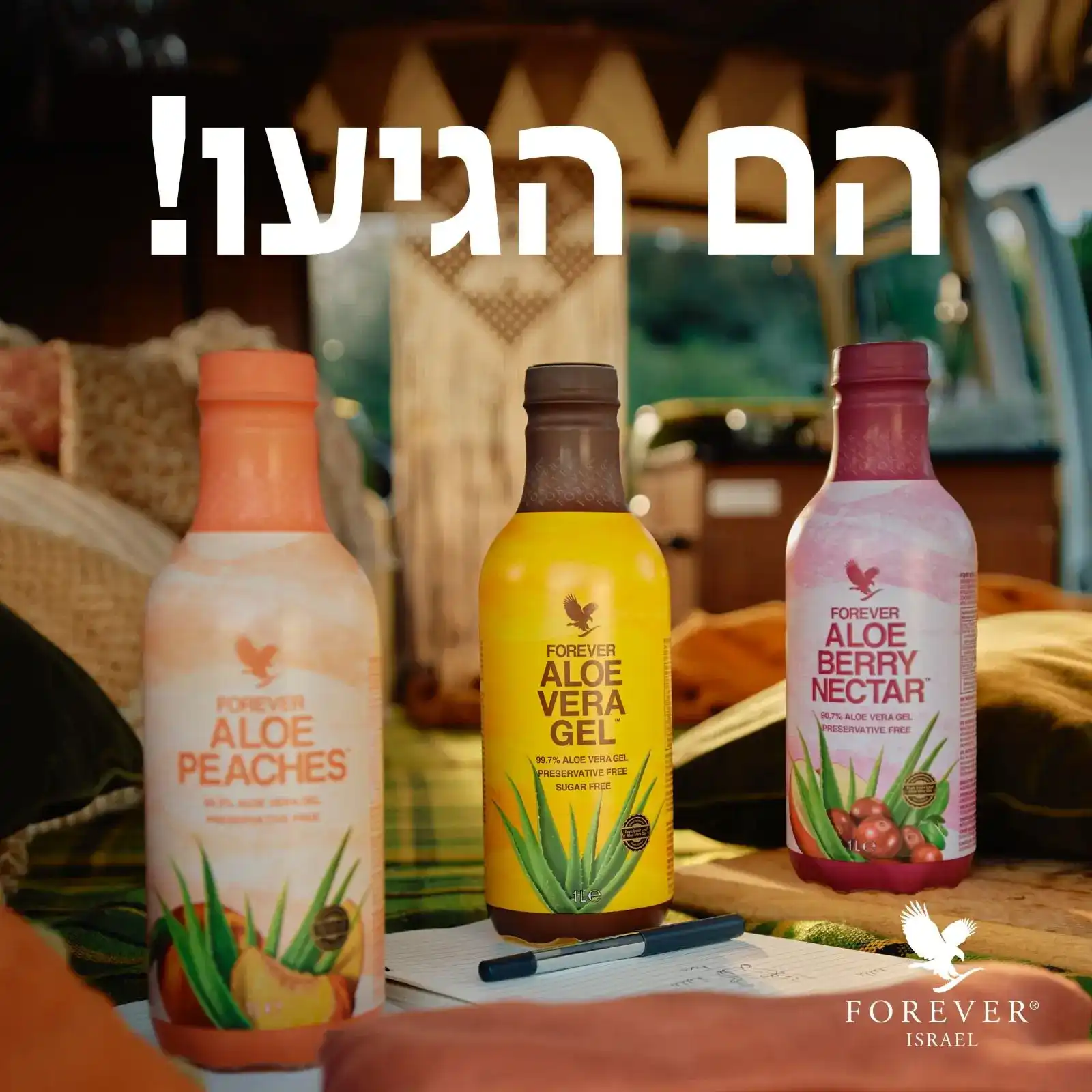 משקה האלוורה טבעי