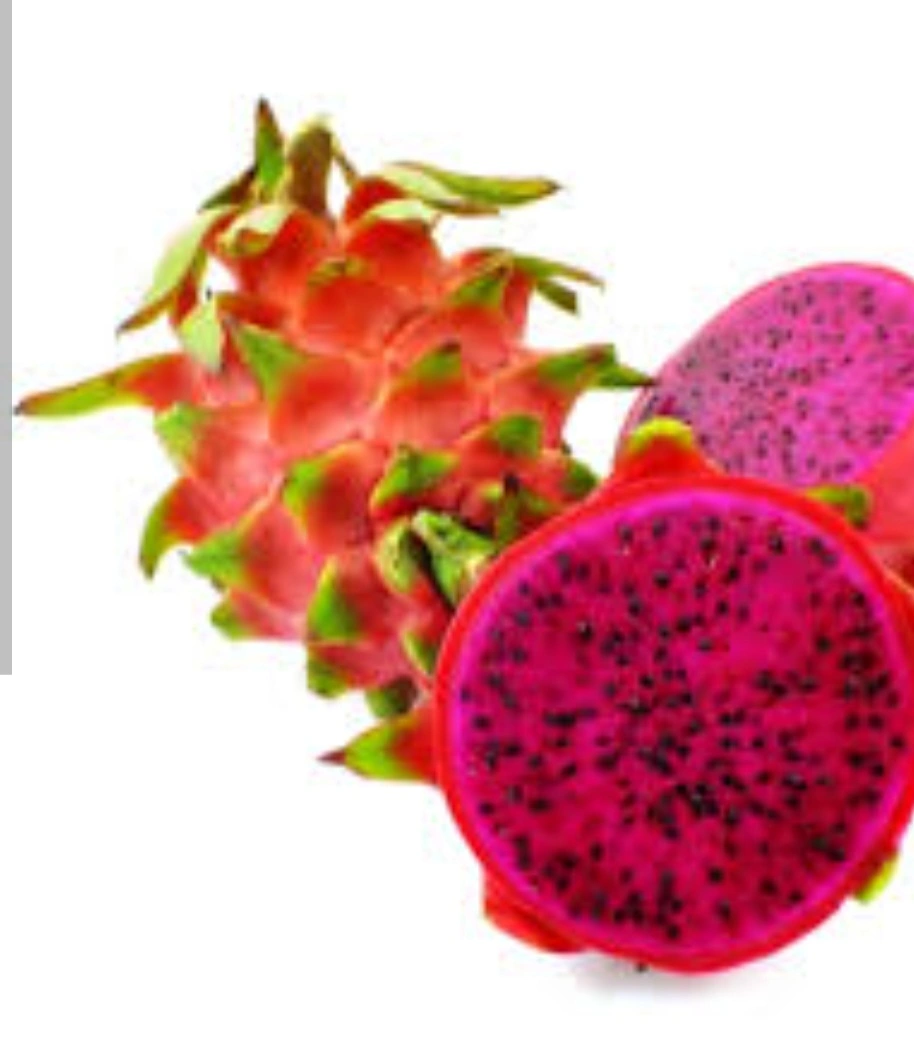 פאטיה (פרי הדרקון)