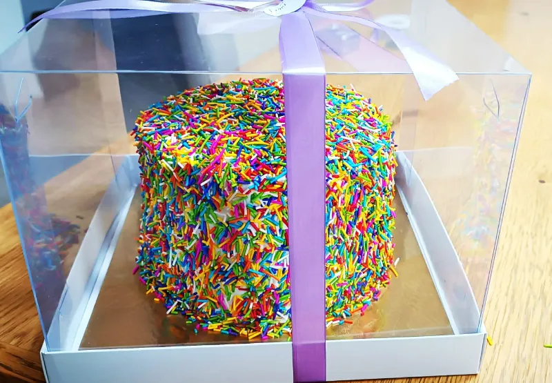 עוגה מעוצבת שכבות קרם וניל וטורט חומה/לבנה