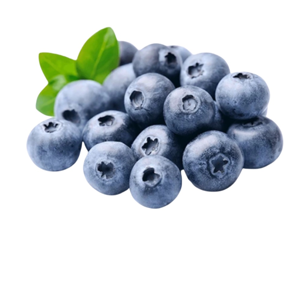 אוכמניות כחולות