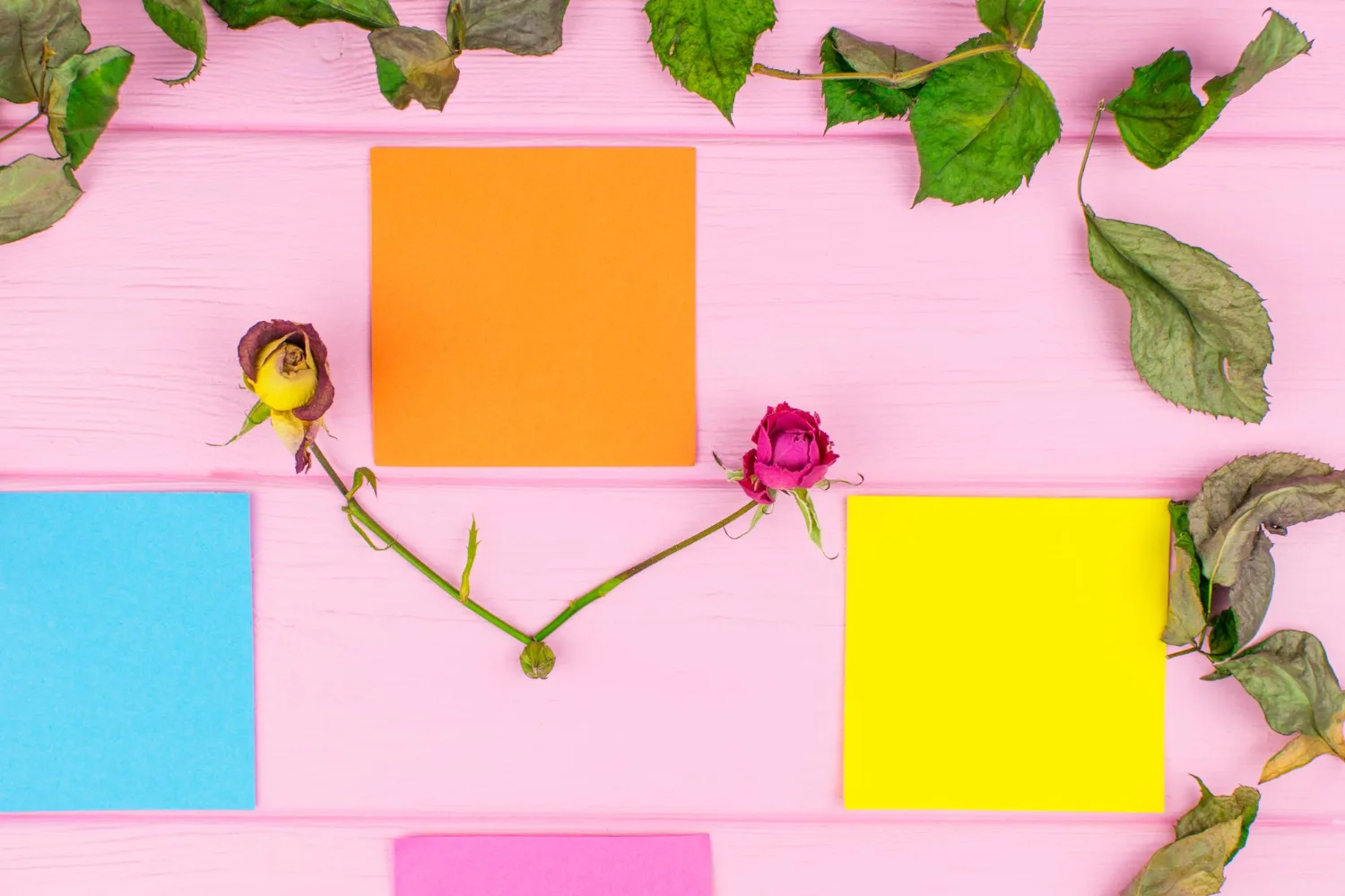 פגישת אבחון לפי שיטת הקוד האנושי