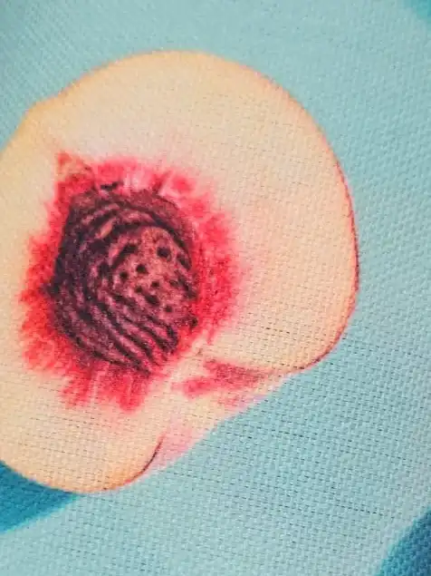 בד קאנווס דיגיטלי