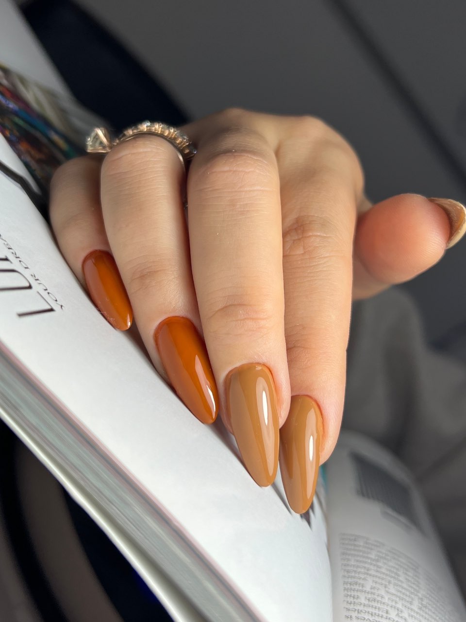 מבנה אנטומי