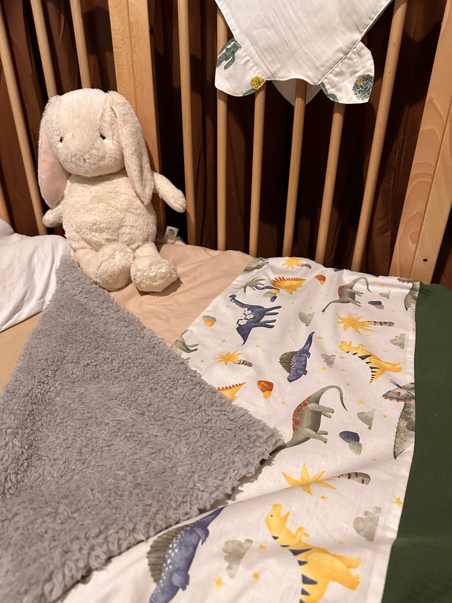 שמיכת חורף - דינוזאורים