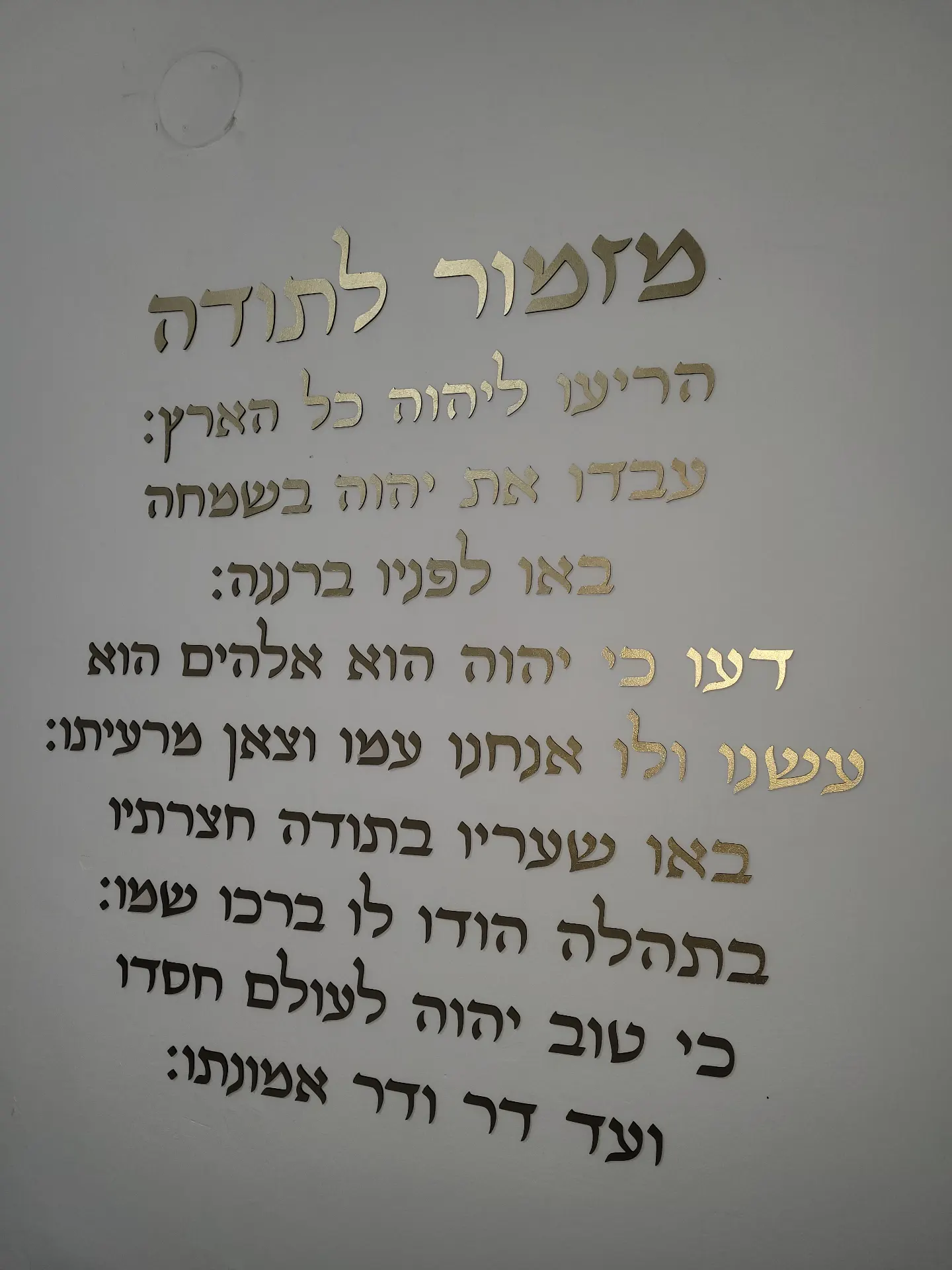 מזמור לתודה לאורך, החל מגודל 80×80 סמ