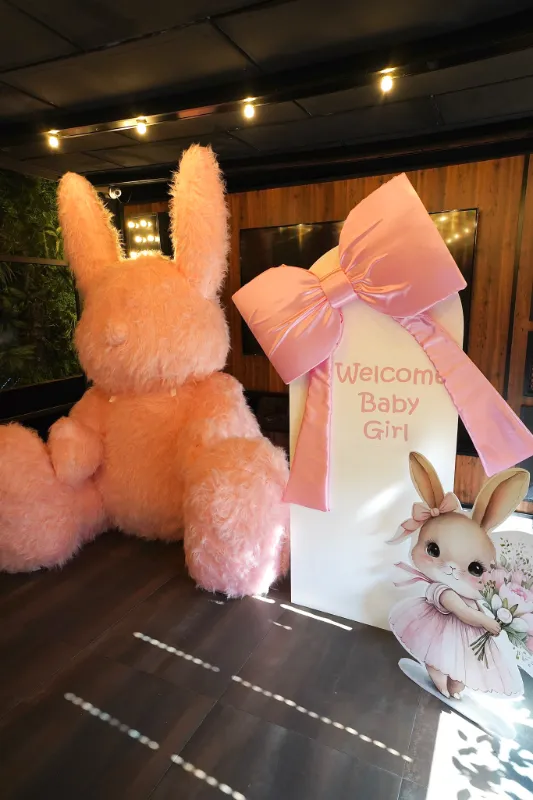 קיר צילום לבריתה