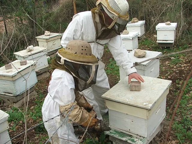 סיור בכוורת בעמק יזרעאל – חוויה חינוכית ומהנה לכל המשפחה