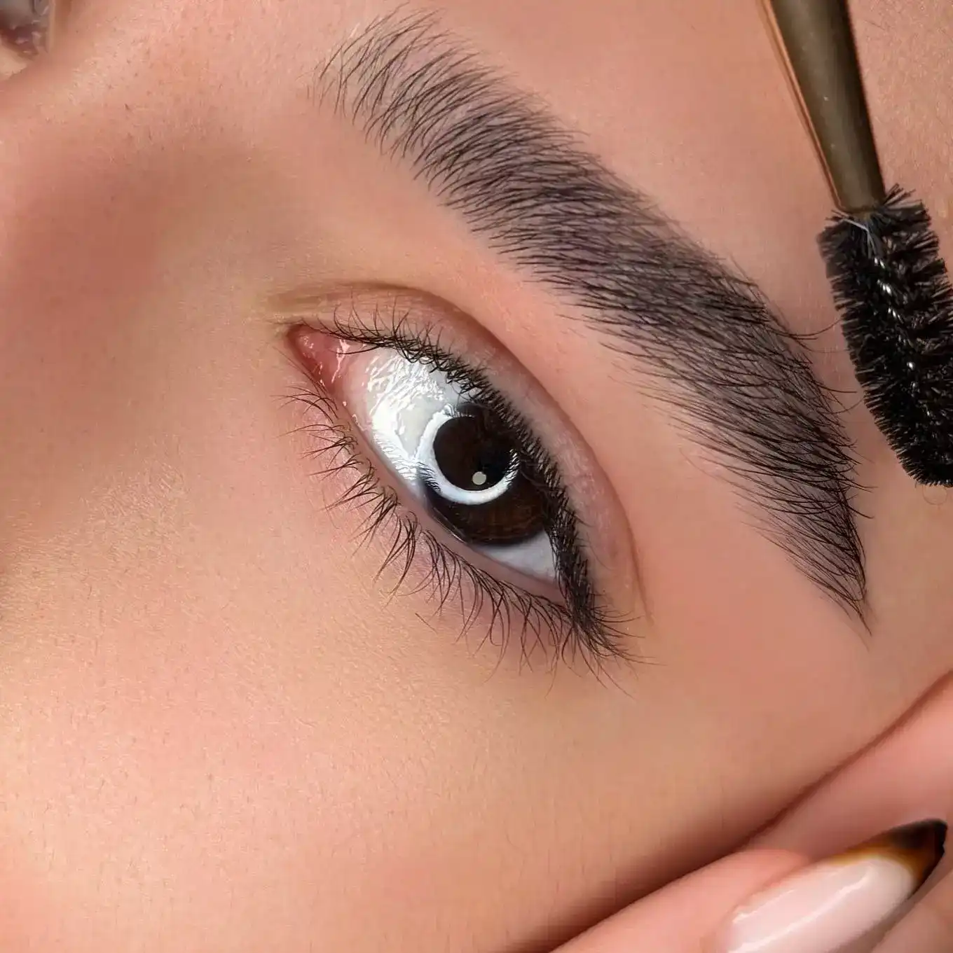 עיצוב גבות טבעיות