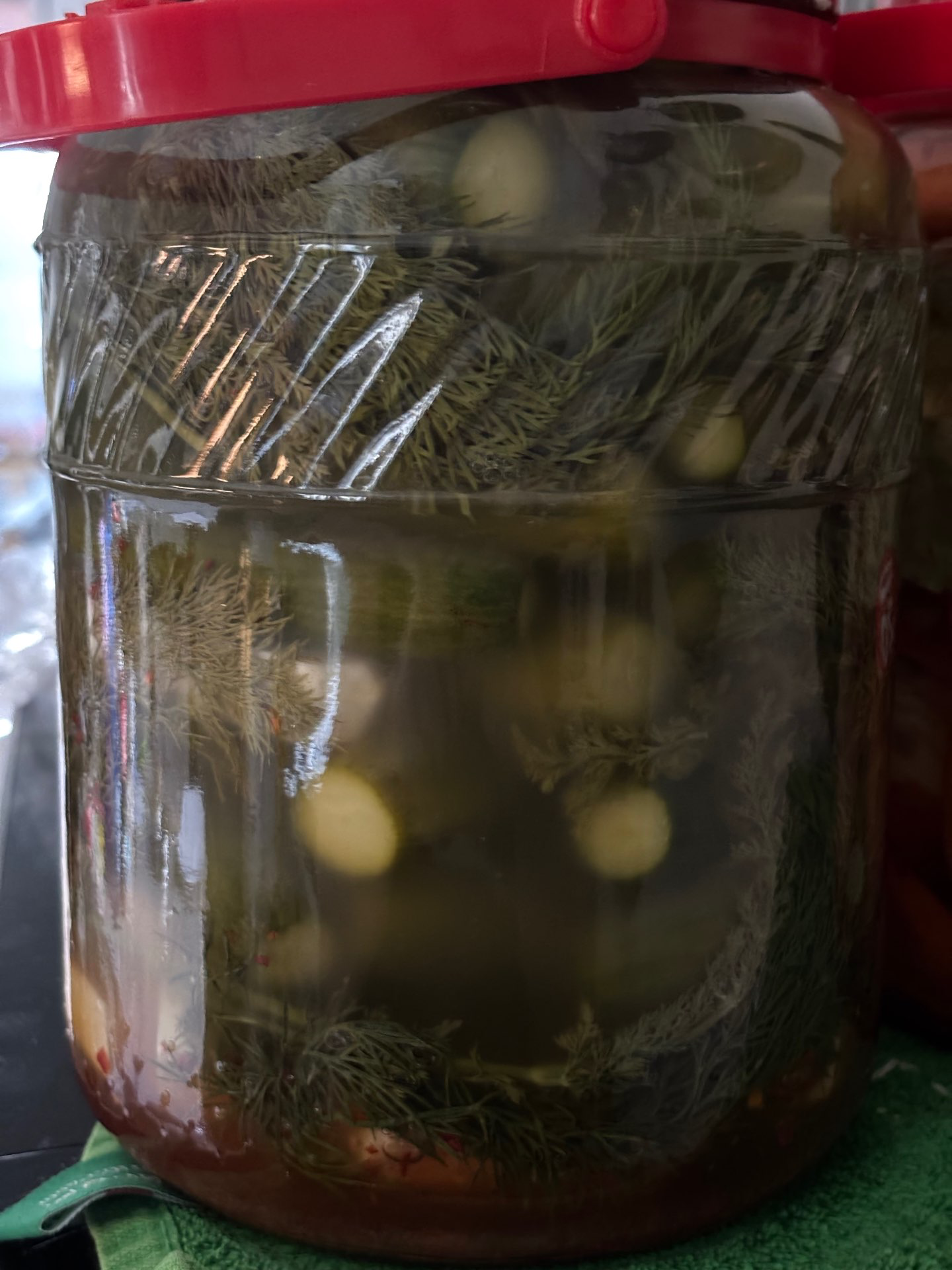 ירקות מוחמצים – פריכות מושלמת בטעמים מסורתיים