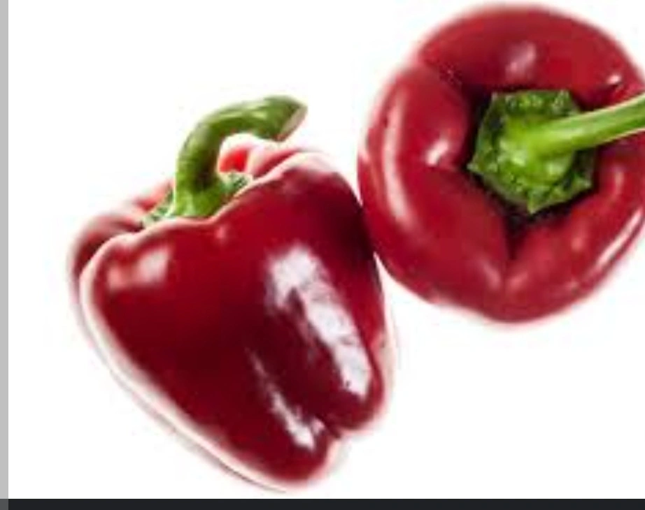 פלפל אדום