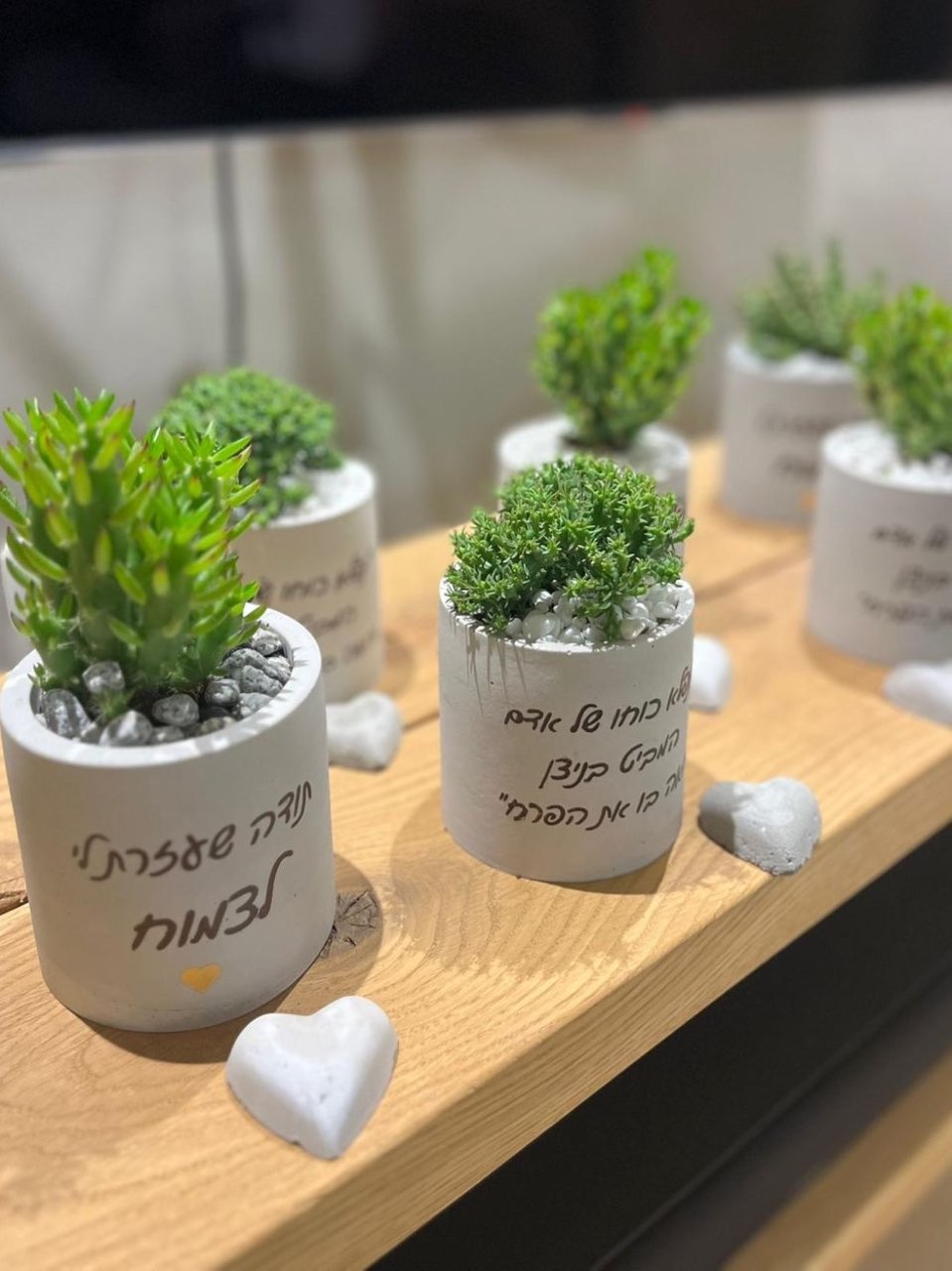 עציץ עם הקדשה אישית