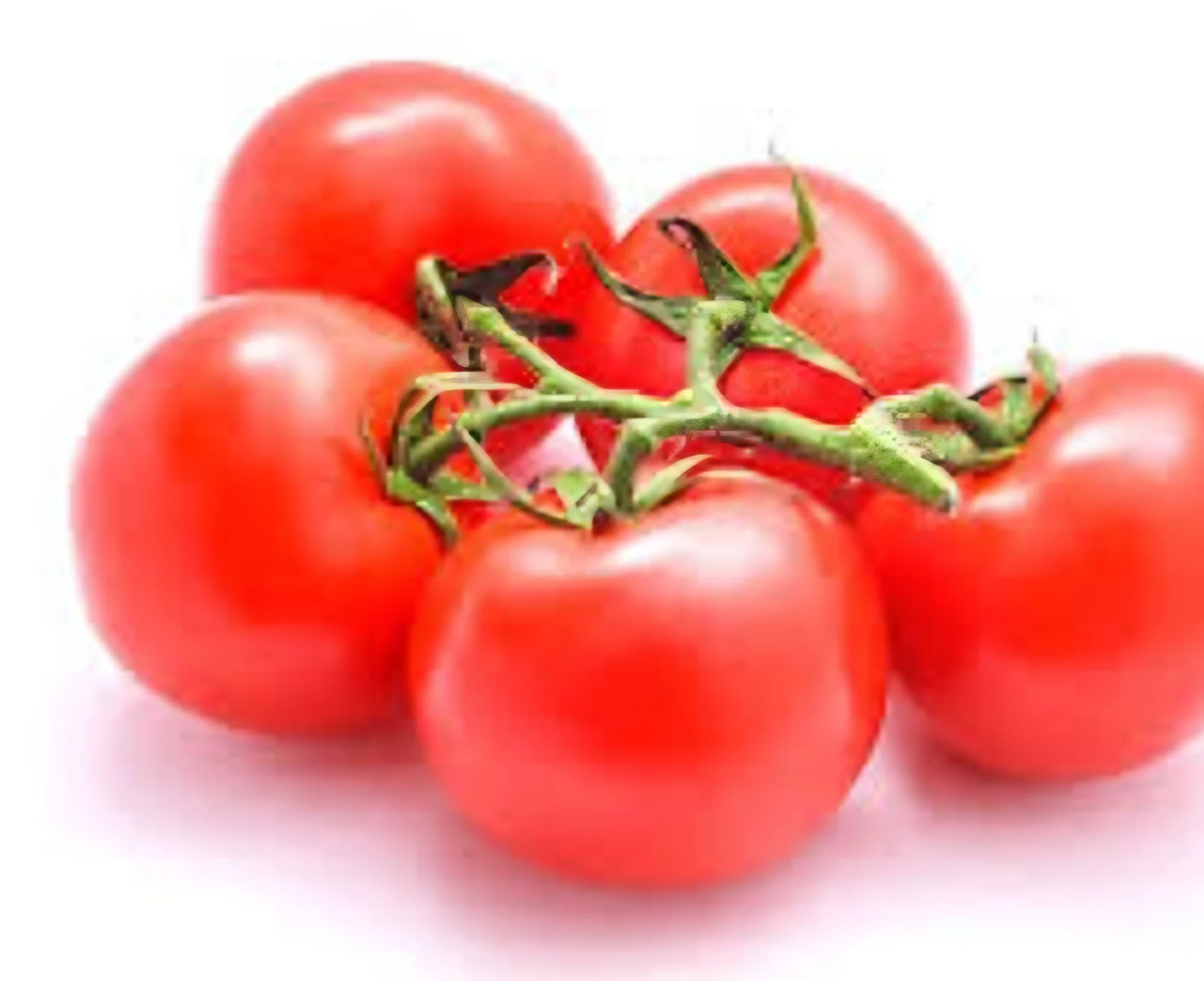 עגבניה ישראלית