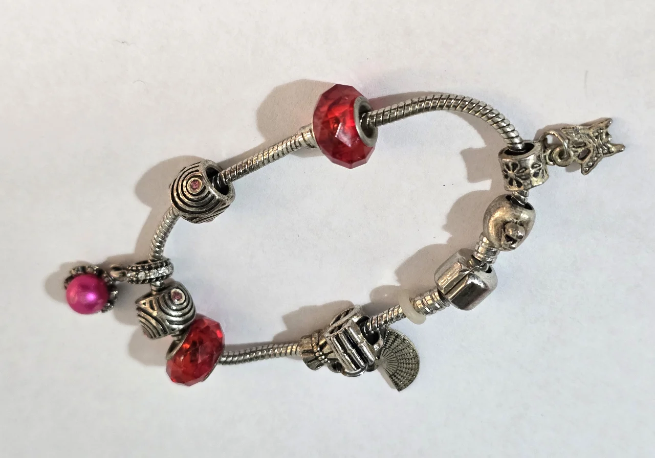 צמיד דמוי צמידי פנדורה עם אלמנטים מיוחדים על הצמיד