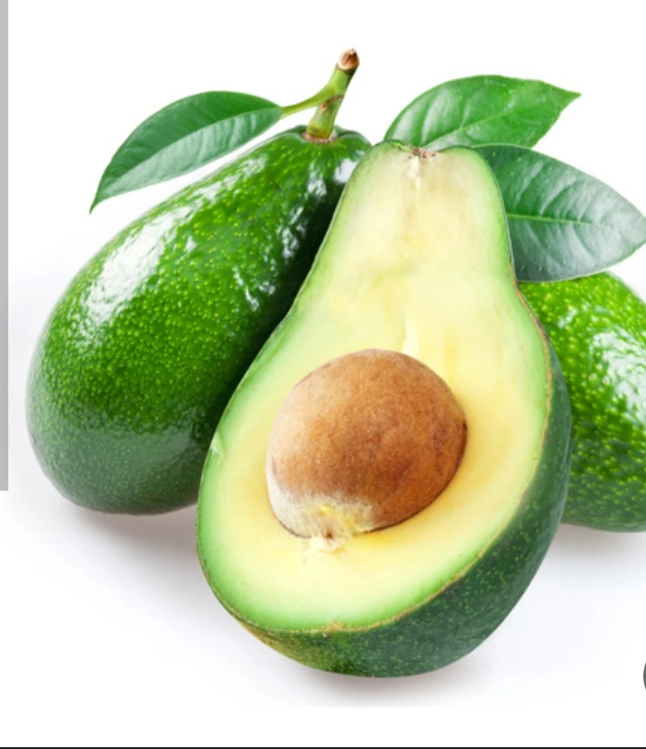 אבוקדו (הטינגר)