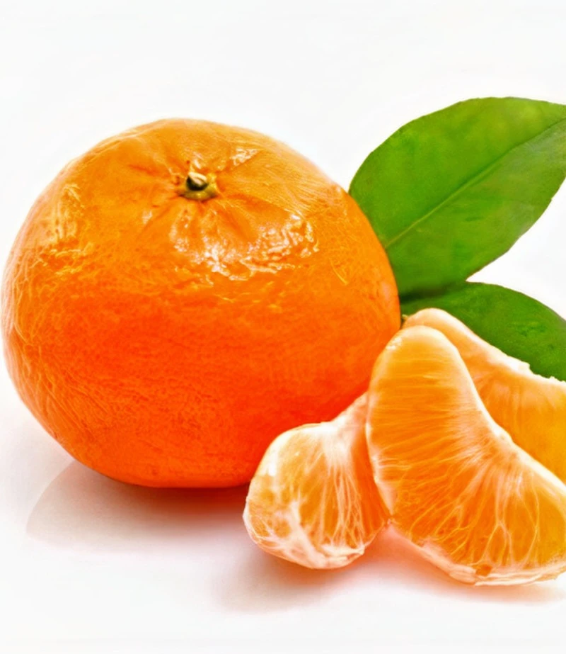 קלמנטינה (מיכל)