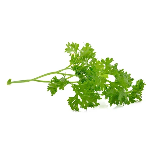 פטרוזליה - 1 יחידה